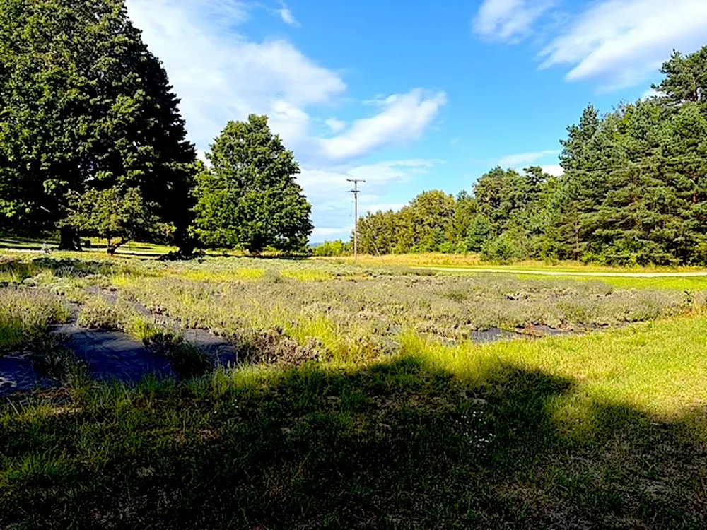3086 Warren Road Benzonia Township, MI 49617