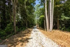 7704 Georgia Highway 100 Buchanan, GA 30113