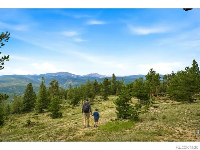 1455 Ridge Road Nederland, CO 80466