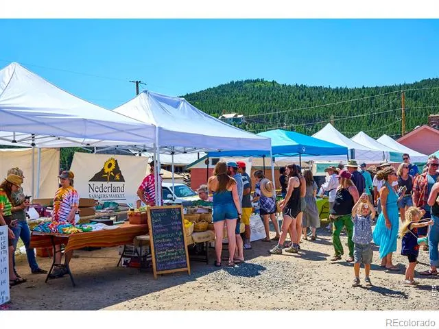1455 Ridge Road Nederland, CO 80466