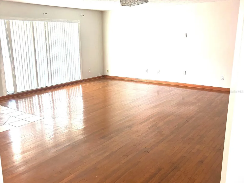 902 SAMY DRIVE Tampa, FL 33613