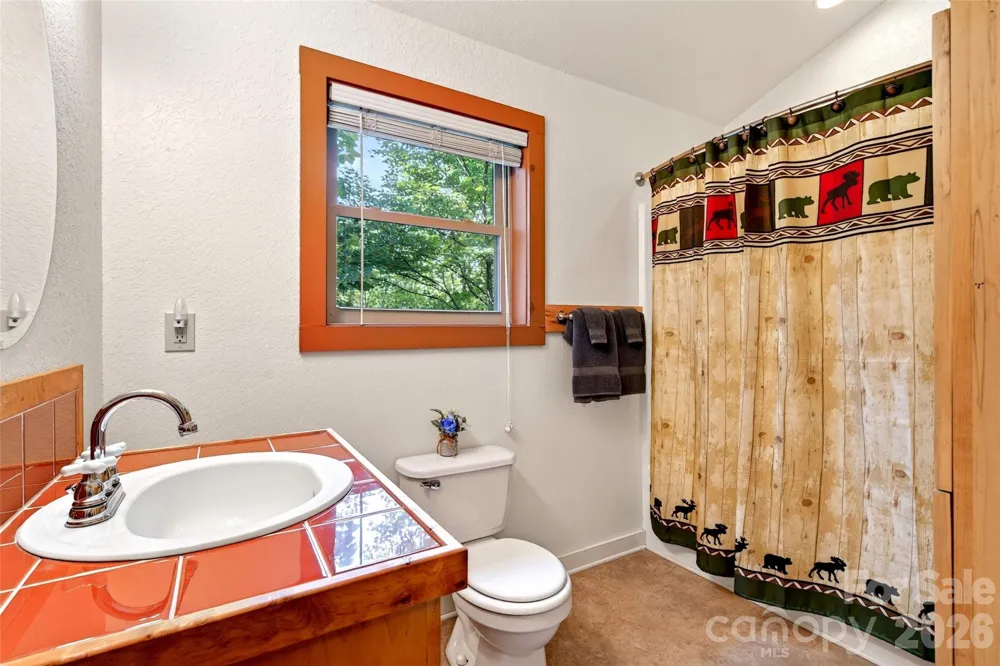 386 Wild Turkey Run Black Mountain, NC 28711