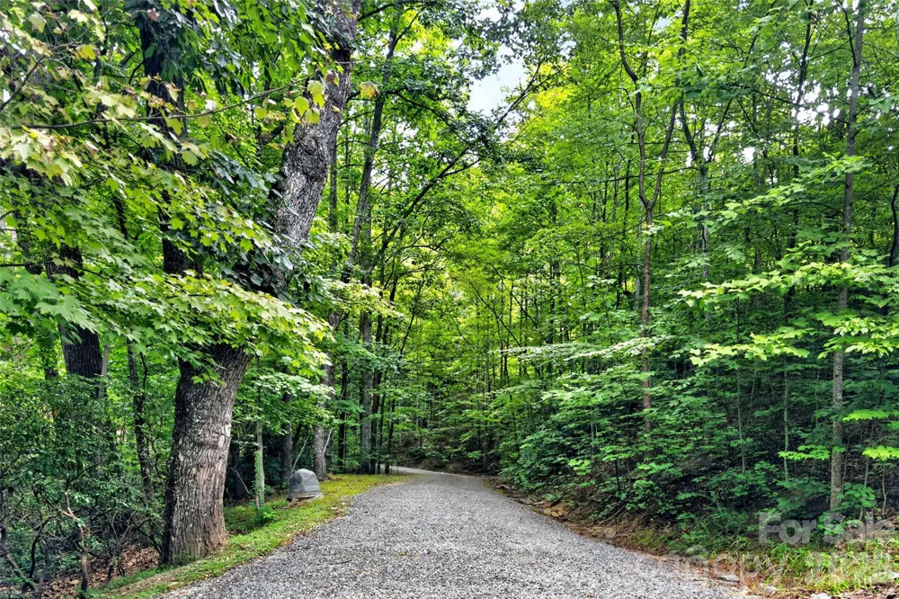 386 Wild Turkey Run Black Mountain, NC 28711