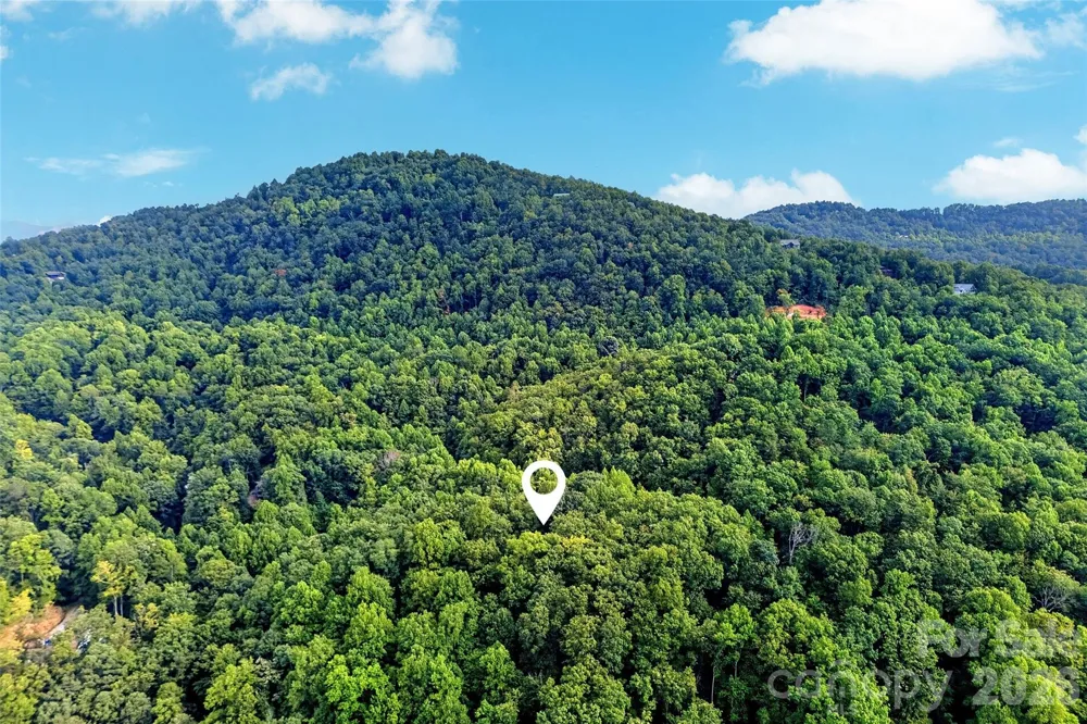 386 Wild Turkey Run Black Mountain, NC 28711