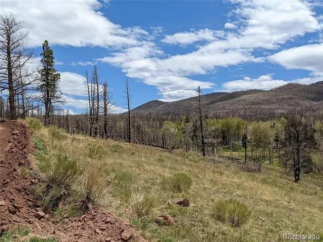 951 Van Fossan Lane Fort Garland, CO 81133