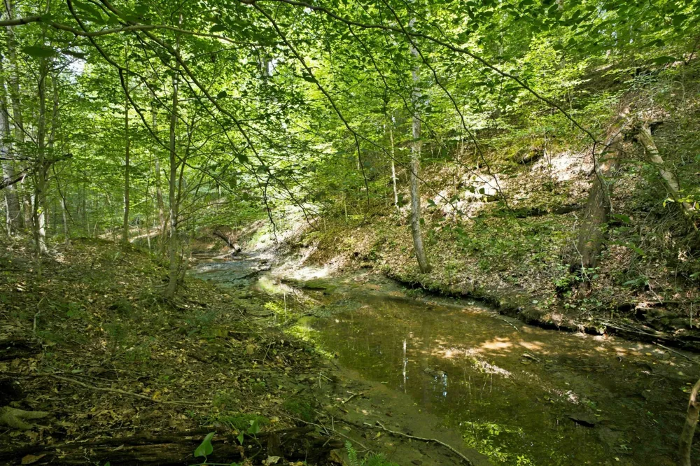 8008 Poplar Ridge Ln Primm Springs, TN 38476