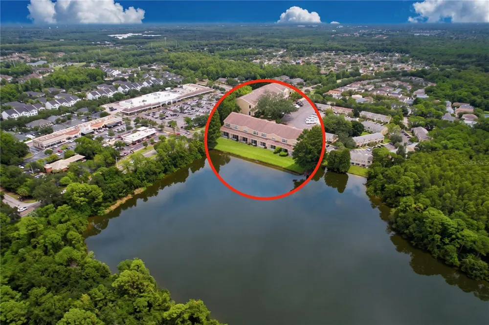 12388 BERKELEY SQUARE DRIVE Tampa, FL 33626