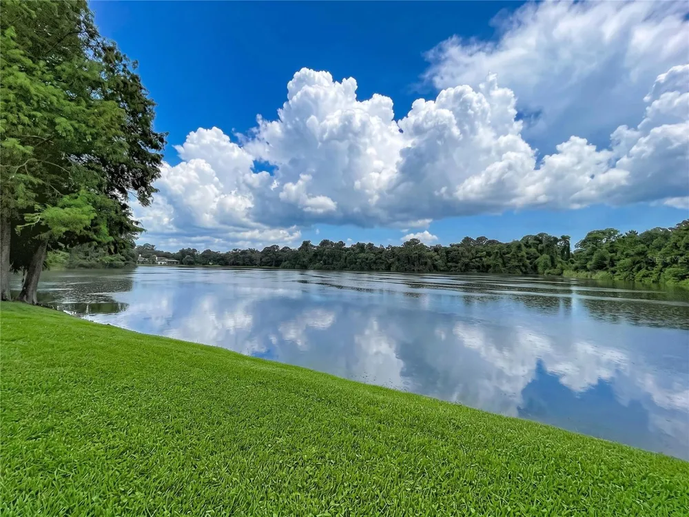 12388 BERKELEY SQUARE DRIVE Tampa, FL 33626
