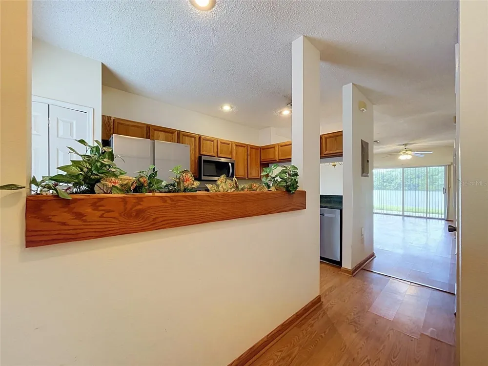 12388 BERKELEY SQUARE DRIVE Tampa, FL 33626