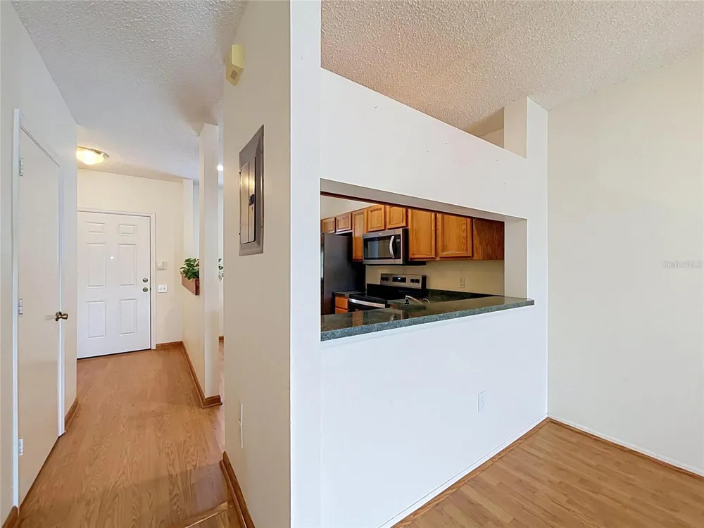 12388 BERKELEY SQUARE DRIVE Tampa, FL 33626