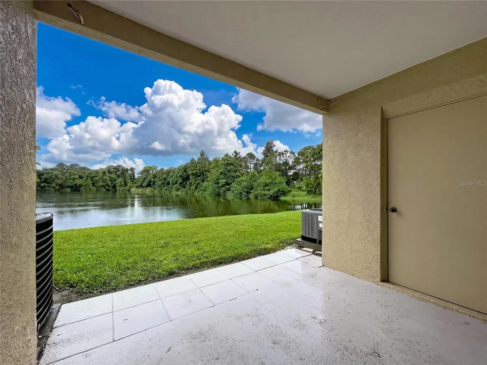 12388 BERKELEY SQUARE DRIVE Tampa, FL 33626