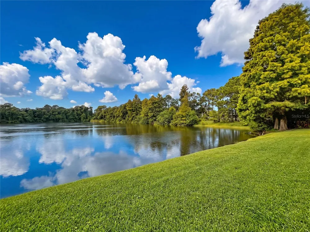 12388 BERKELEY SQUARE DRIVE Tampa, FL 33626