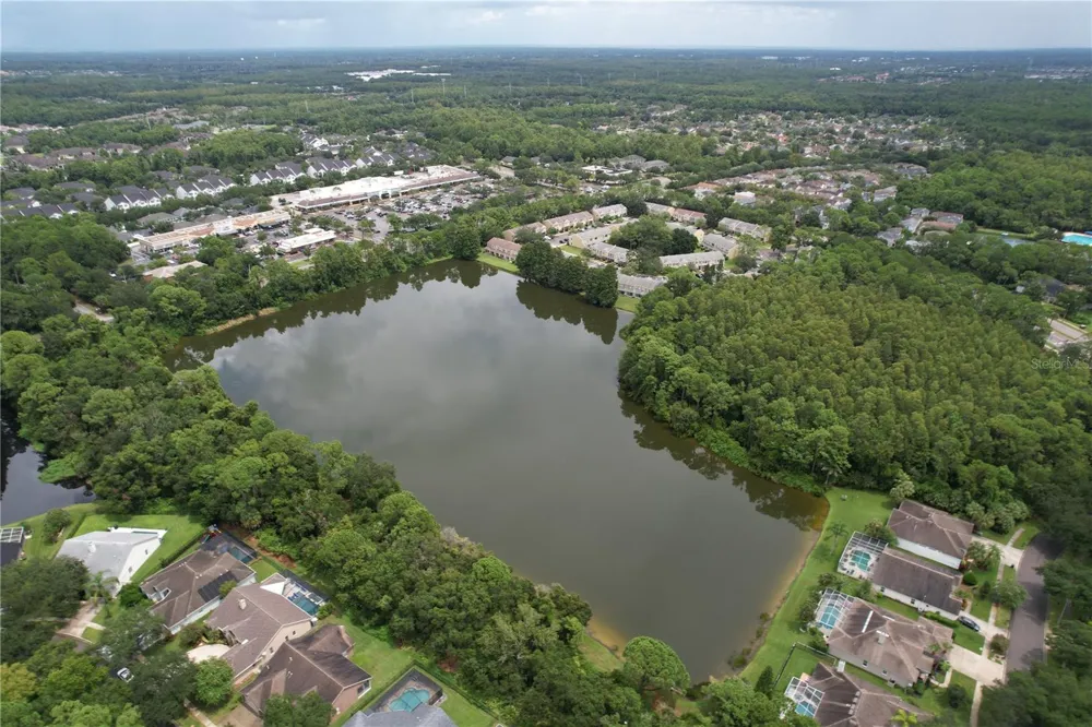 12388 BERKELEY SQUARE DRIVE Tampa, FL 33626