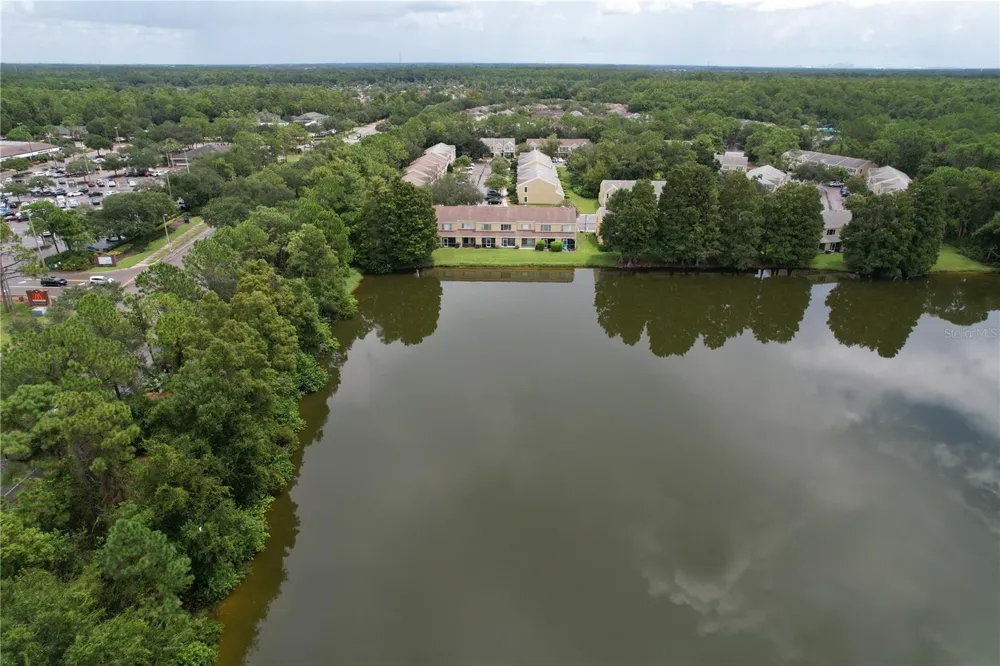12388 BERKELEY SQUARE DRIVE Tampa, FL 33626