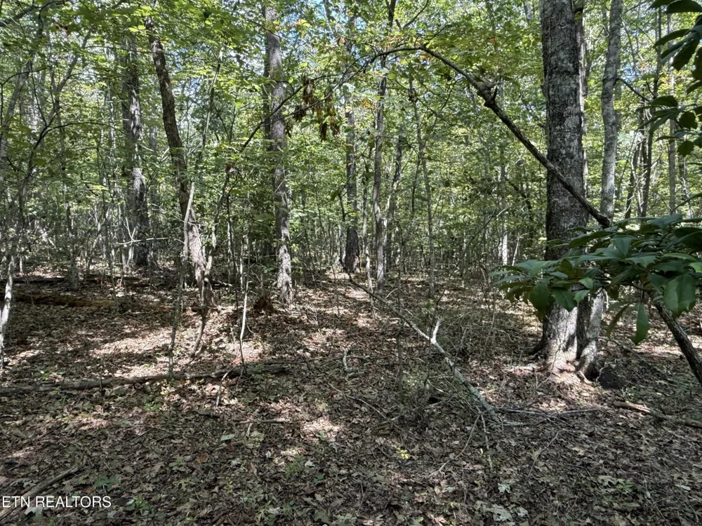 18 Laurel Way Monterey, TN 38574