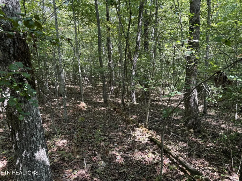 18 Laurel Way Monterey, TN 38574