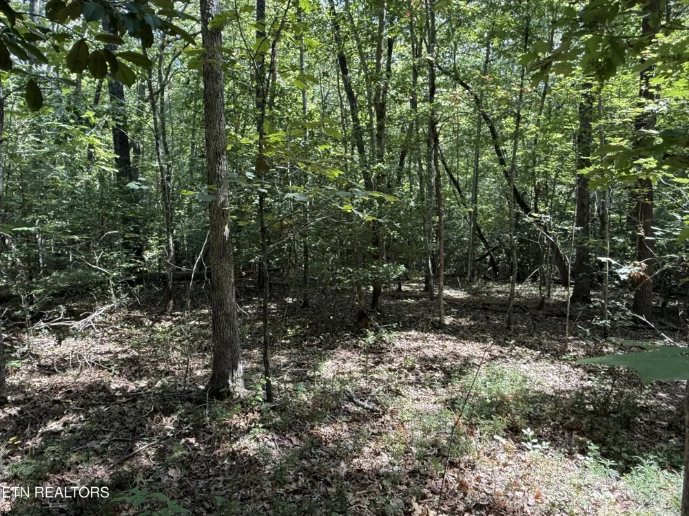 18 Laurel Way Monterey, TN 38574