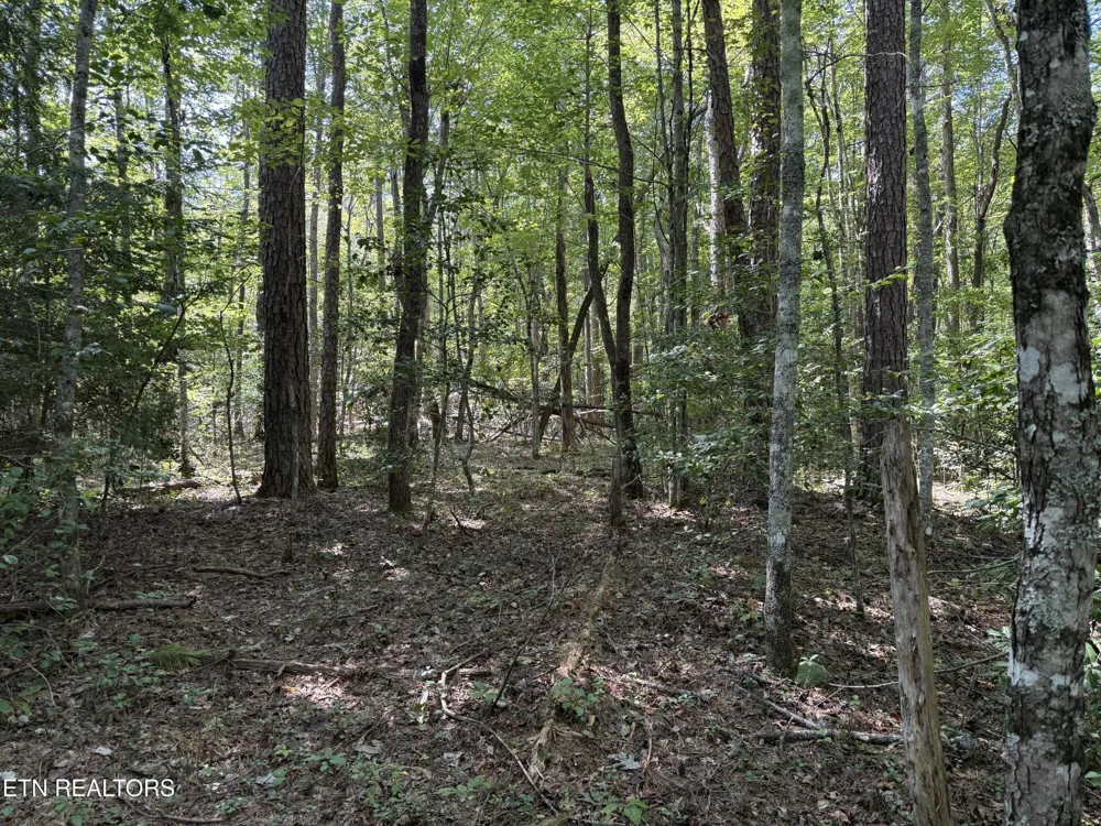 18 Laurel Way Monterey, TN 38574