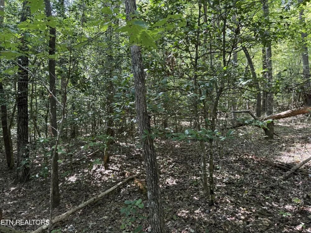 18 Laurel Way Monterey, TN 38574