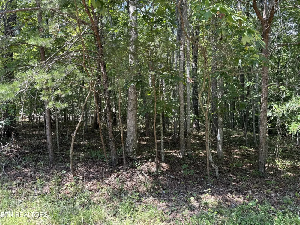 18 Laurel Way Monterey, TN 38574