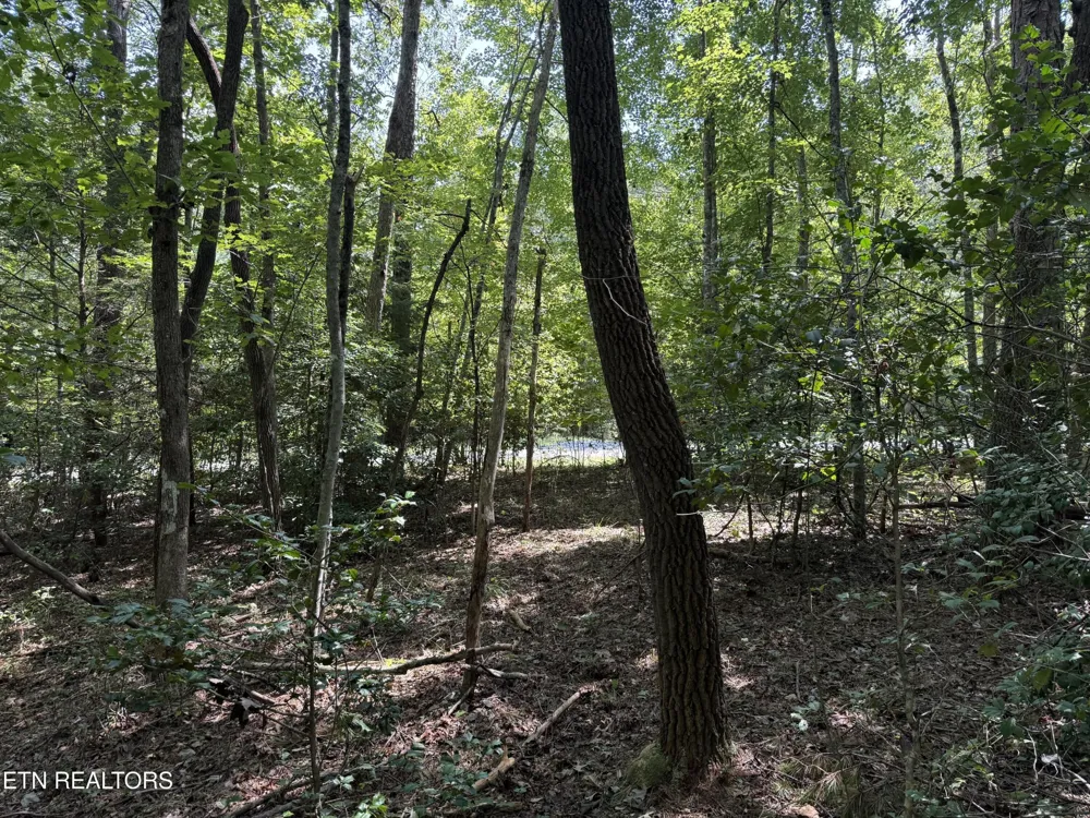 18 Laurel Way Monterey, TN 38574