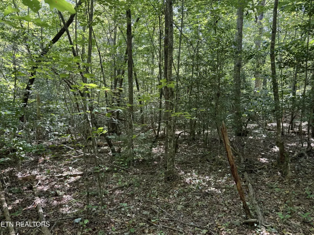 18 Laurel Way Monterey, TN 38574