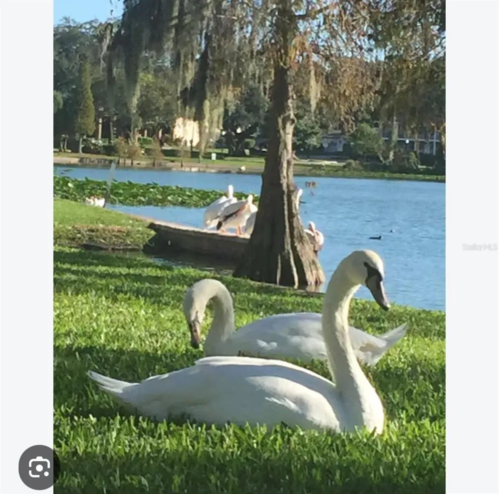 730 COLLEGE AVENUE Lakeland, FL 33801