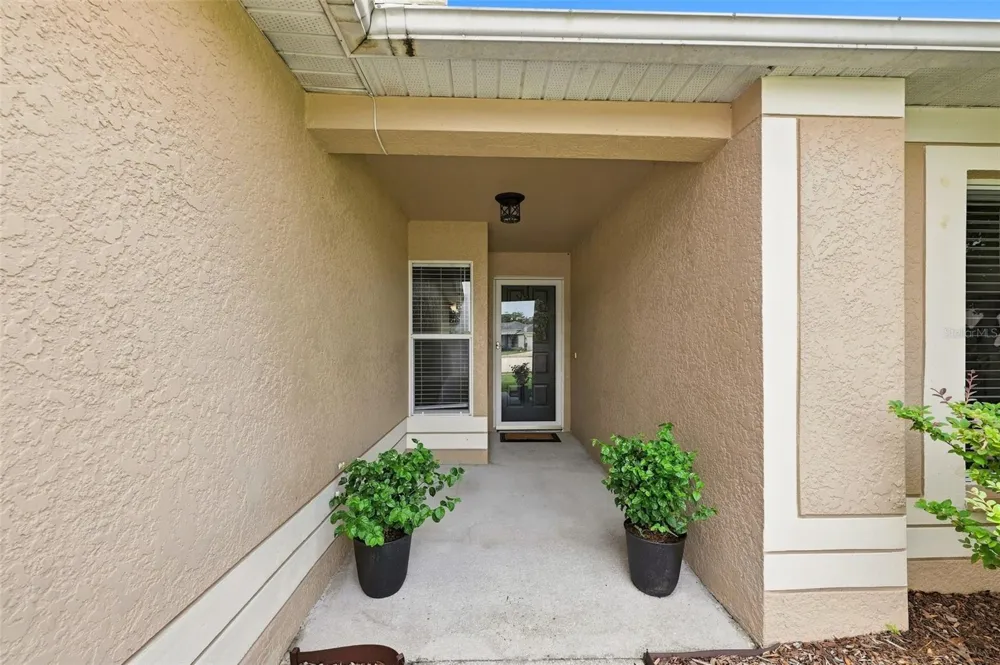 13203 PRESTWICK CREEK DRIVE Riverview, FL 33579