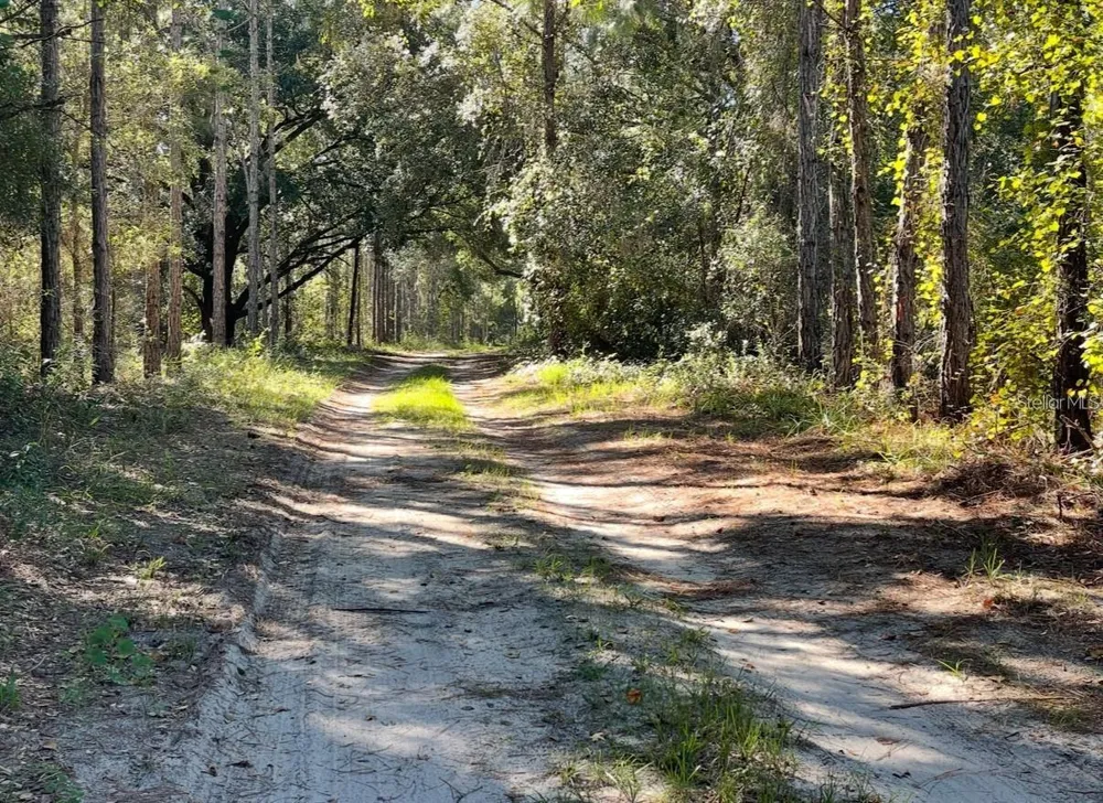 19751 COUNTY ROAD 33 Groveland, FL 34736