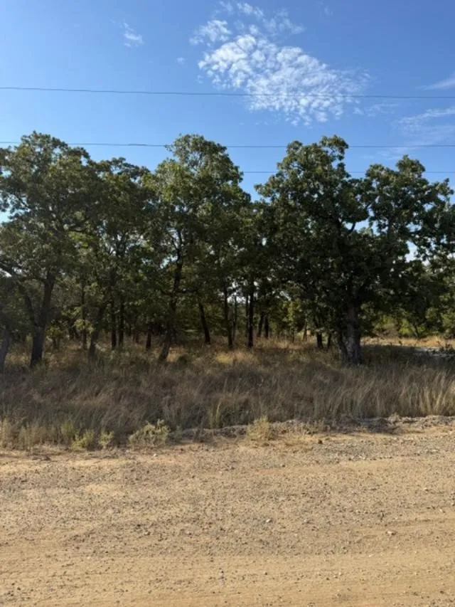 194 Cherokee Trail Nocona, TX 76255