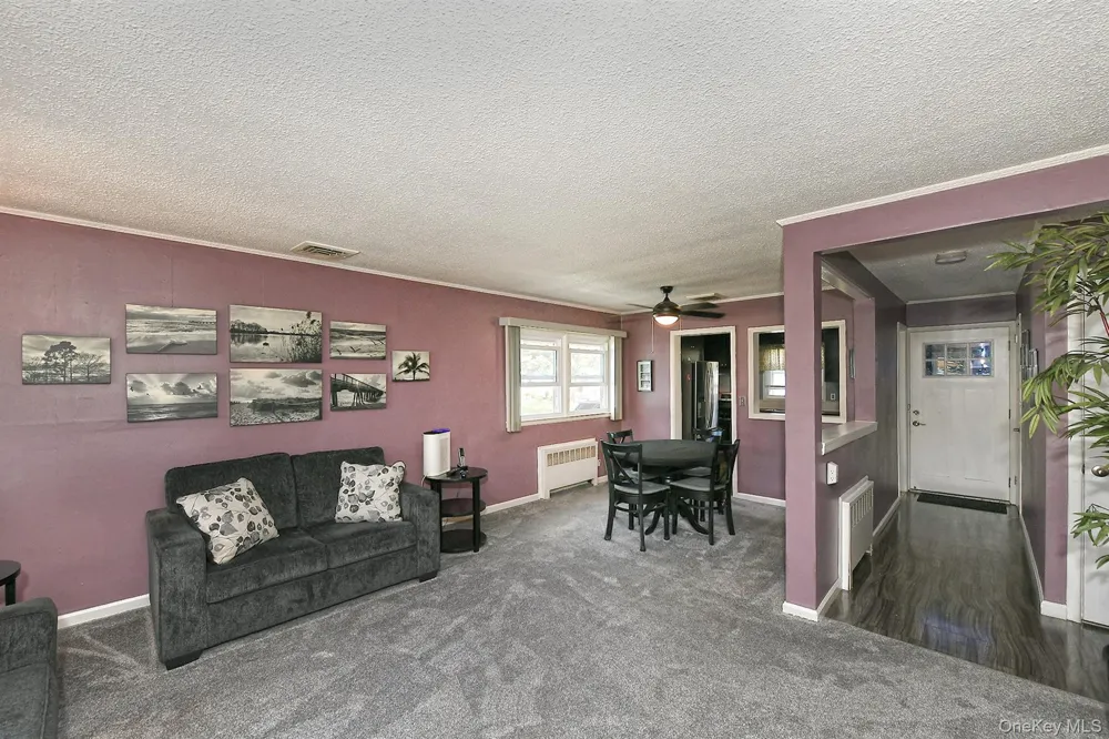 63 Michele Terrace Massapequa Park, NY 11762