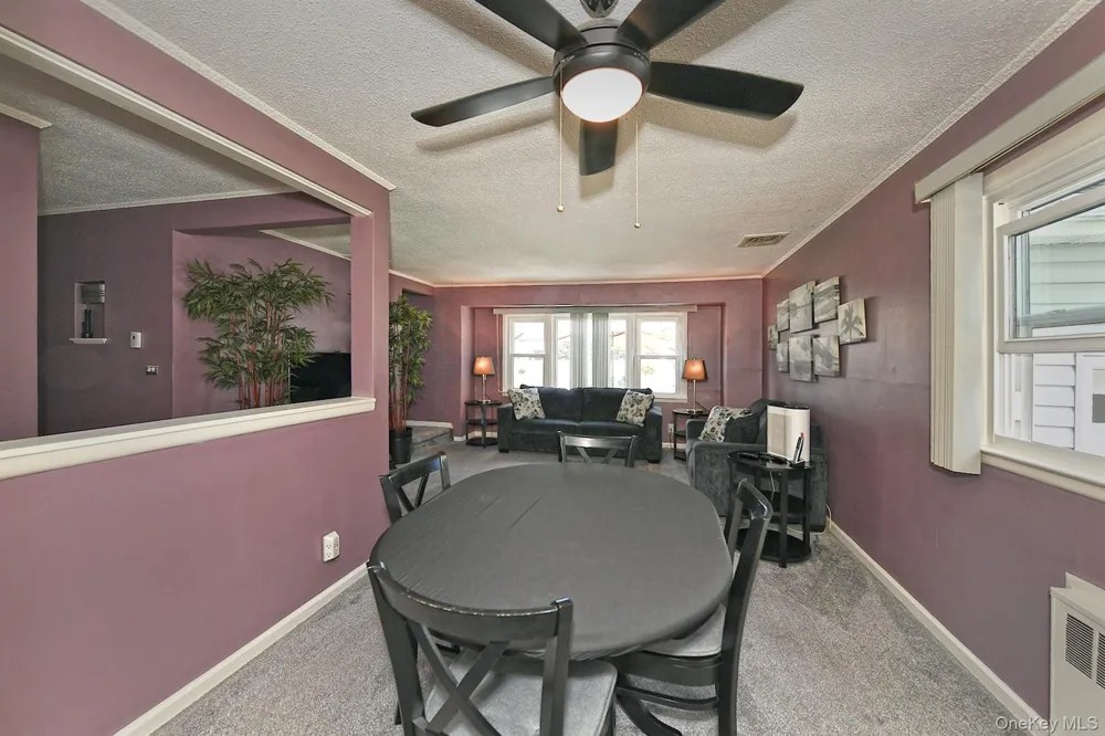 63 Michele Terrace Massapequa Park, NY 11762