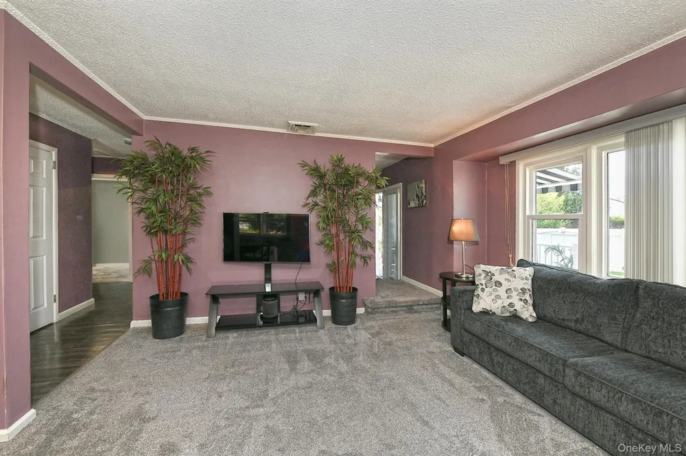 63 Michele Terrace Massapequa Park, NY 11762
