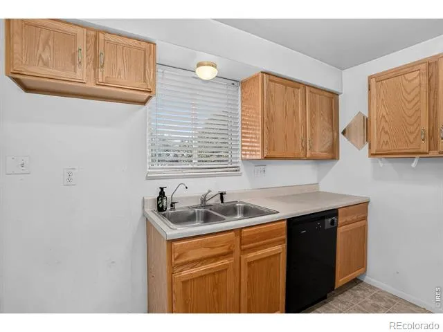 219 Chestnut Street Windsor, CO 80550