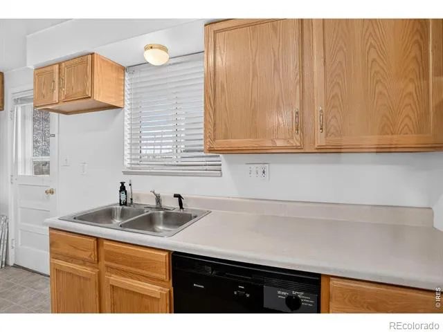 219 Chestnut Street Windsor, CO 80550