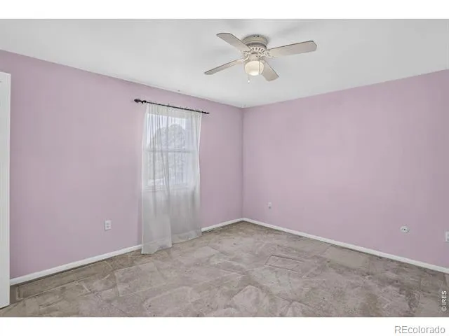 219 Chestnut Street Windsor, CO 80550