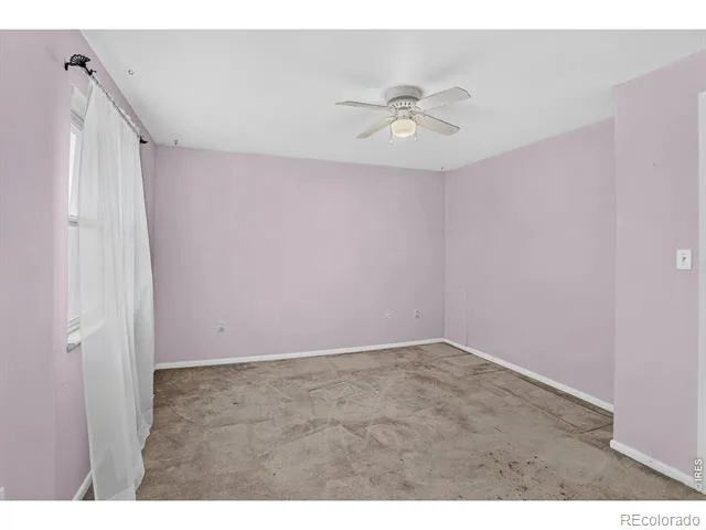 219 Chestnut Street Windsor, CO 80550