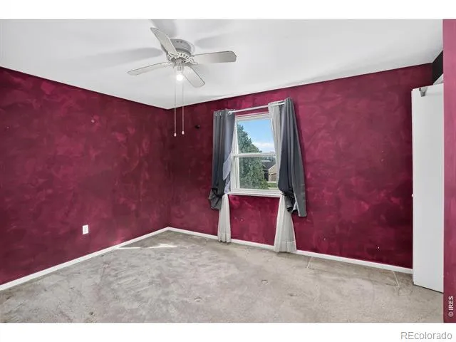 219 Chestnut Street Windsor, CO 80550