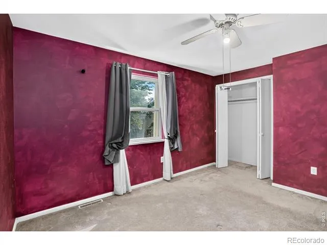 219 Chestnut Street Windsor, CO 80550