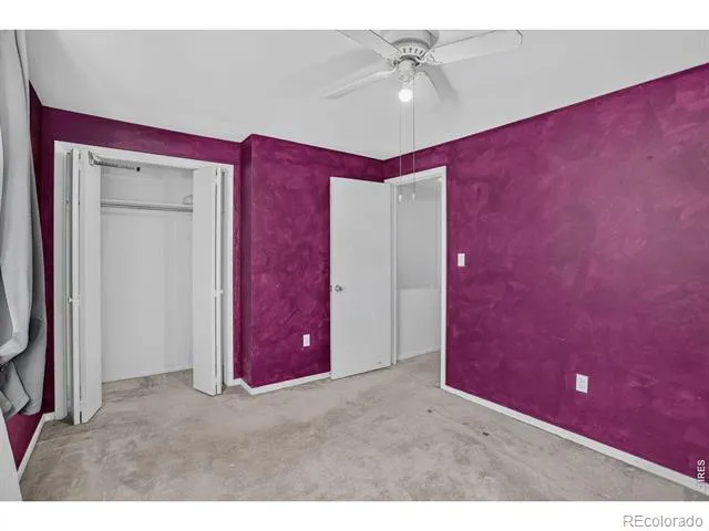 219 Chestnut Street Windsor, CO 80550