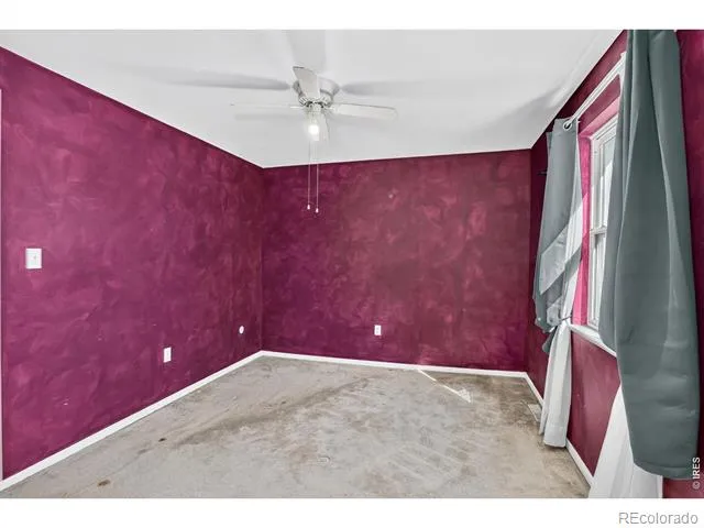 219 Chestnut Street Windsor, CO 80550
