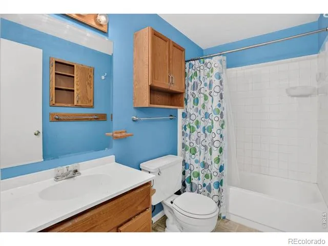 219 Chestnut Street Windsor, CO 80550