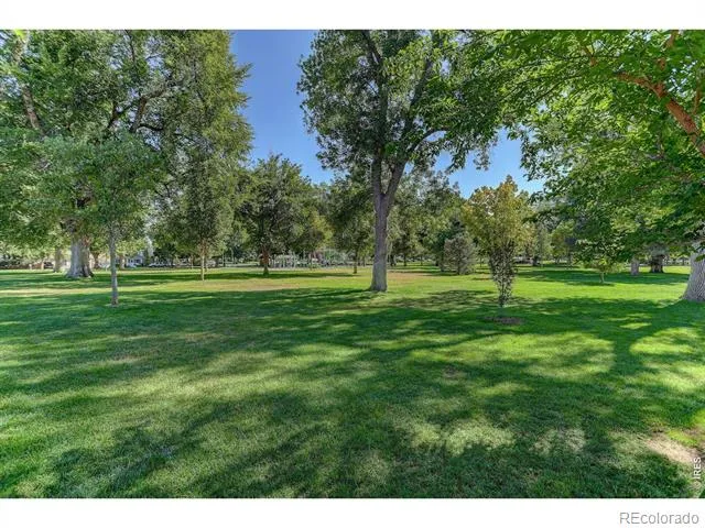 219 Chestnut Street Windsor, CO 80550