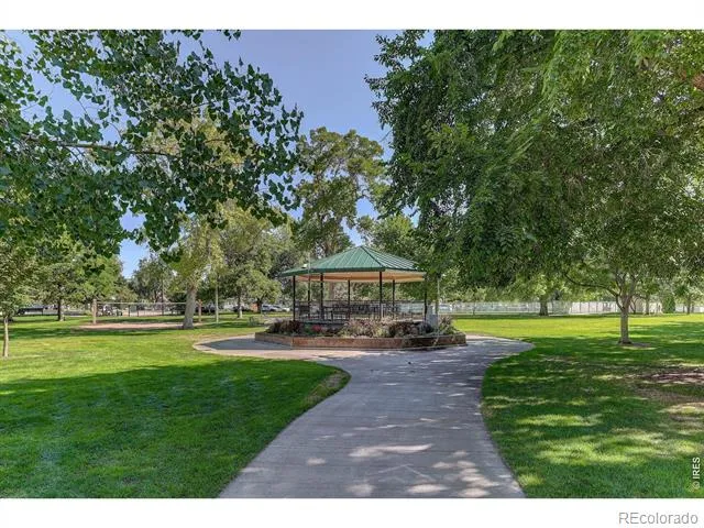 219 Chestnut Street Windsor, CO 80550
