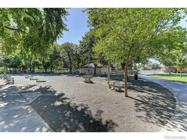 219 Chestnut Street Windsor, CO 80550