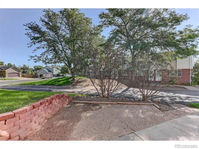 219 Chestnut Street Windsor, CO 80550