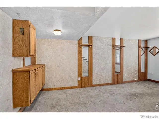 219 Chestnut Street Windsor, CO 80550