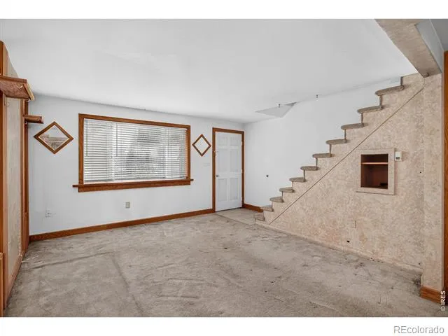 219 Chestnut Street Windsor, CO 80550