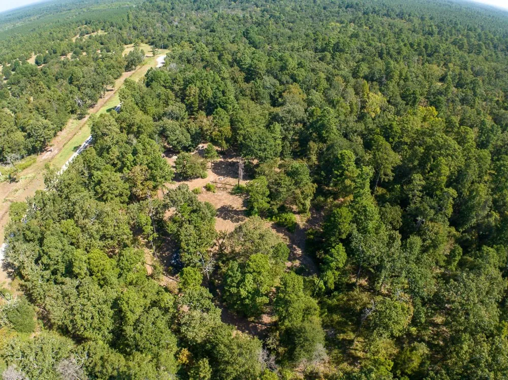 134 Cedar Ridge Huntsville, TX 77320