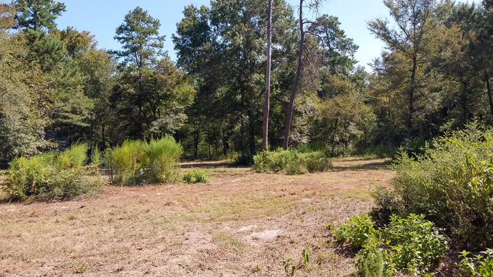 134 Cedar Ridge Huntsville, TX 77320